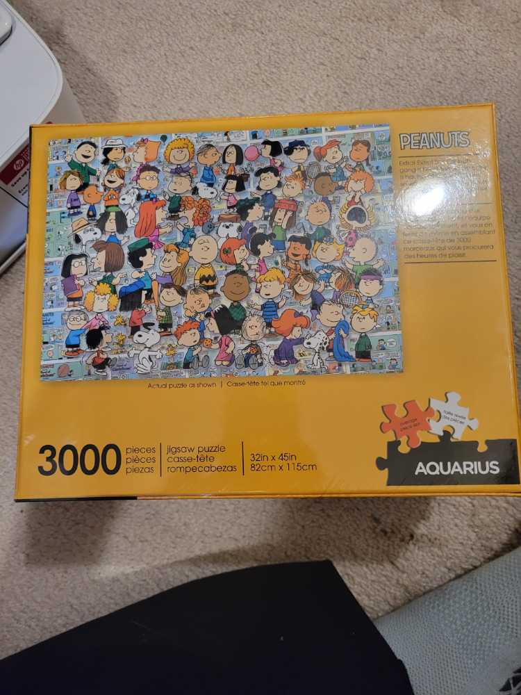 Peanuts Gang - Aquarius puzzle collectible - Main Image 2