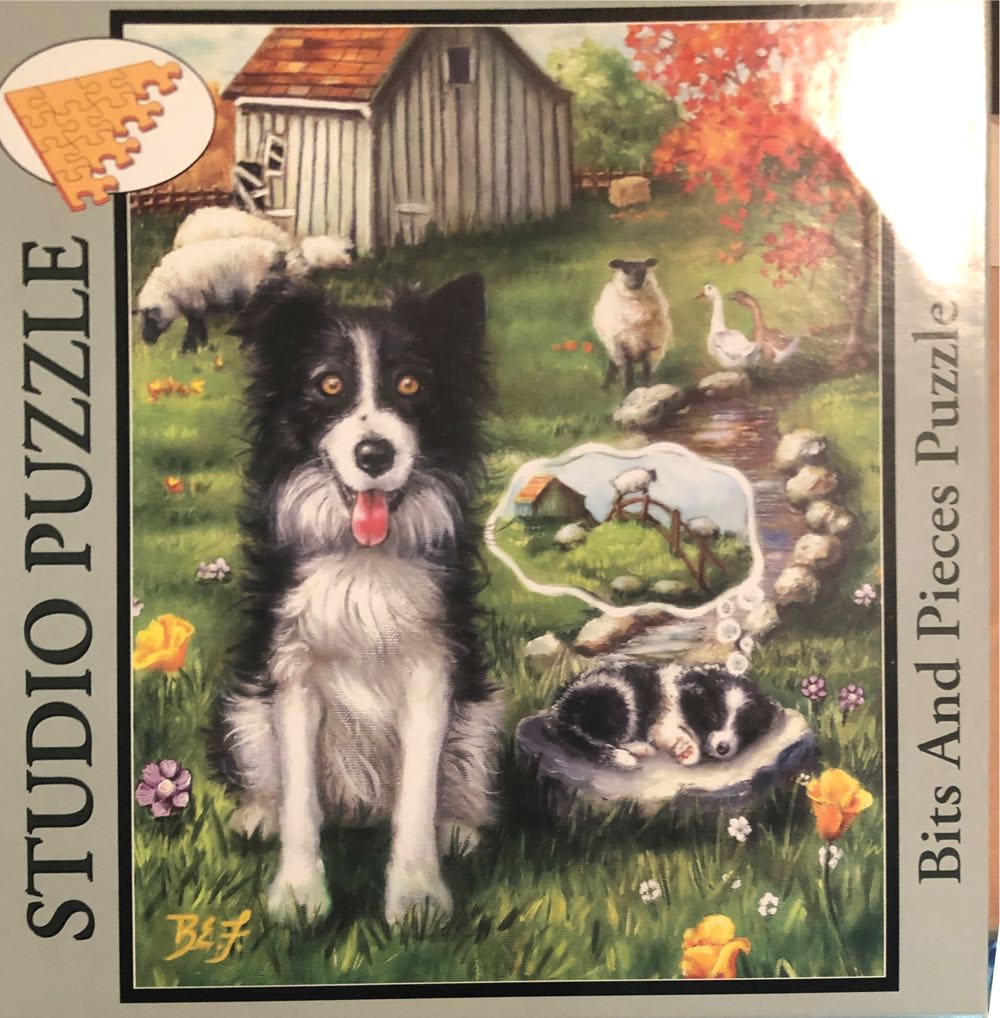 Basic Fun Simon Electronic Carabiner Hand-held Memory Game