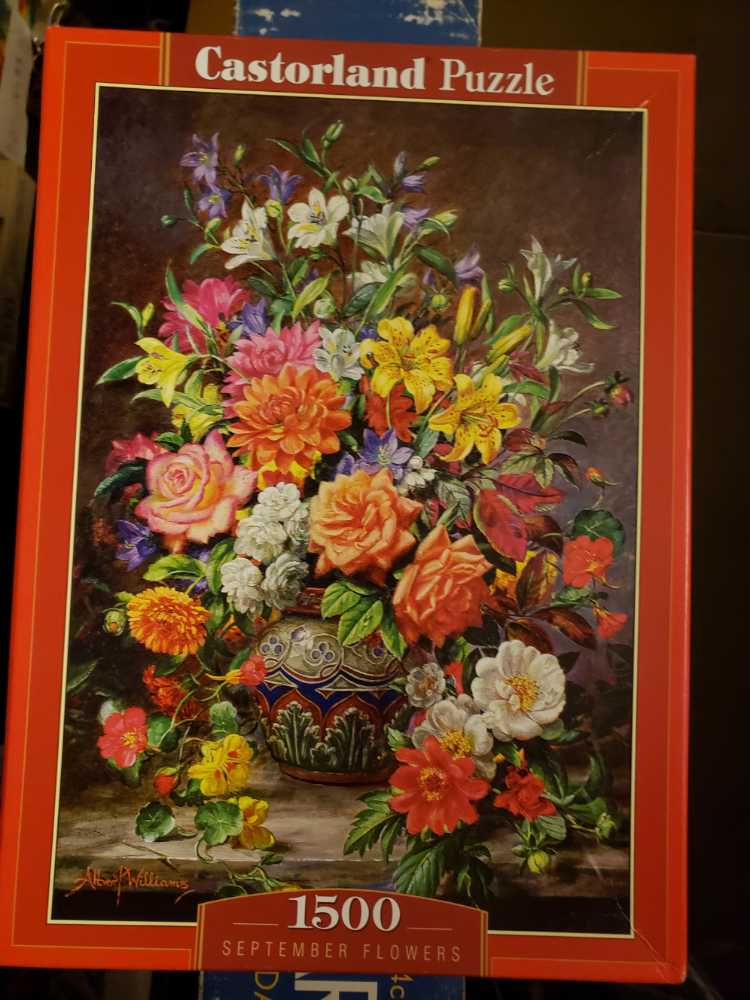 Tailgate At The Park