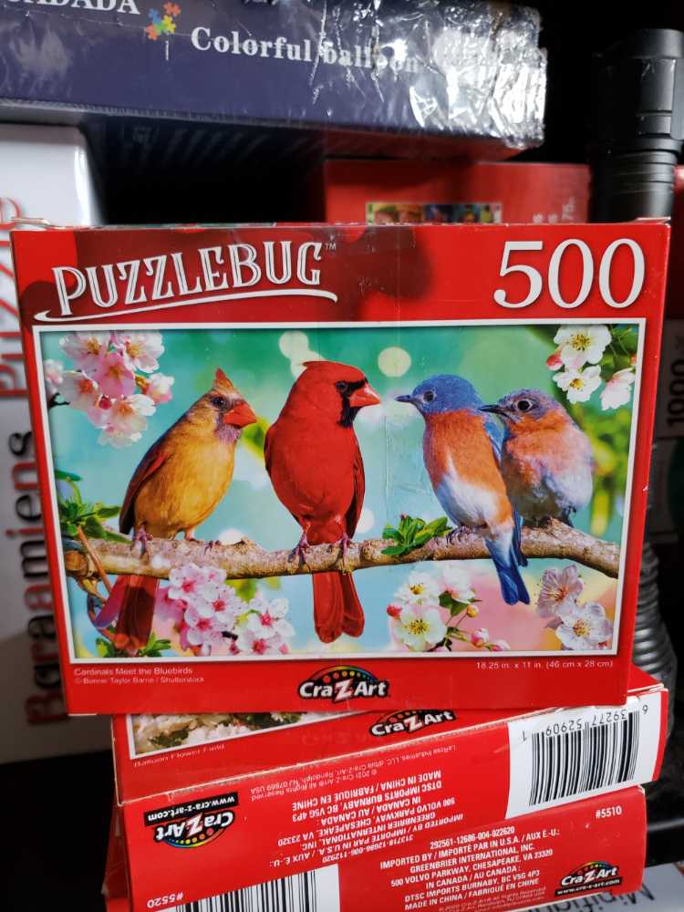 Rose Art—Hot Air Balloon Celebration