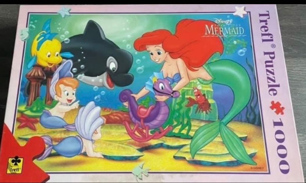 Goldenline Fairies Magic Fire 750 Pieces Roseart