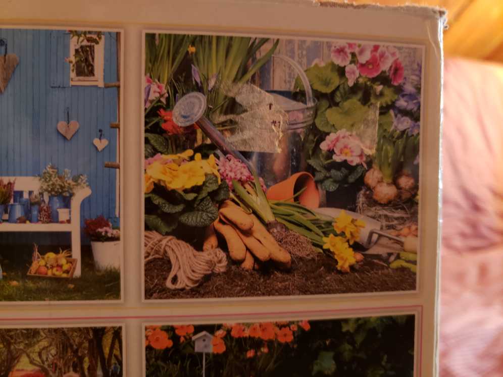 The Warming House Annie H 