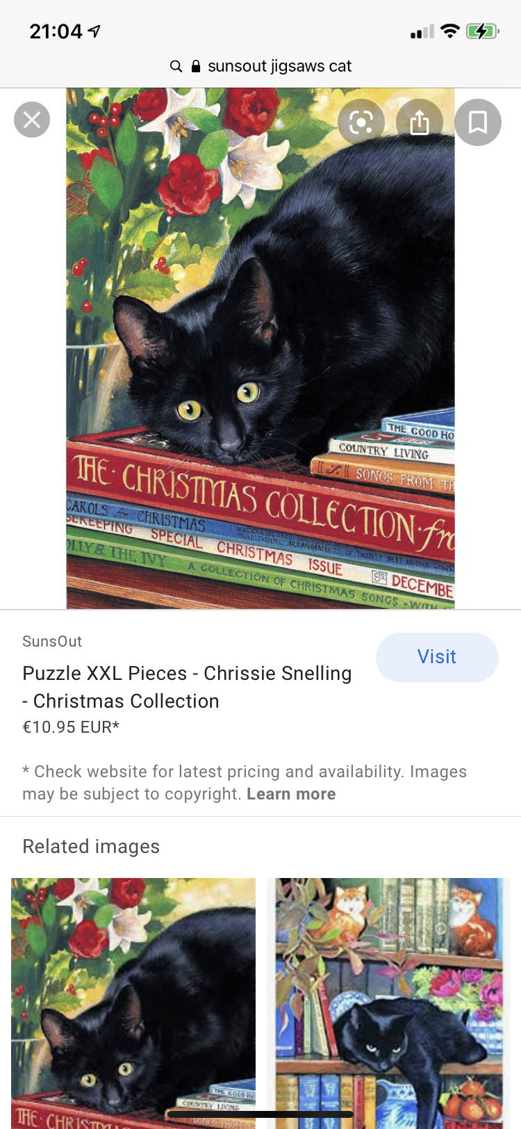 Museum Of Fine Arts: Picture Gallery