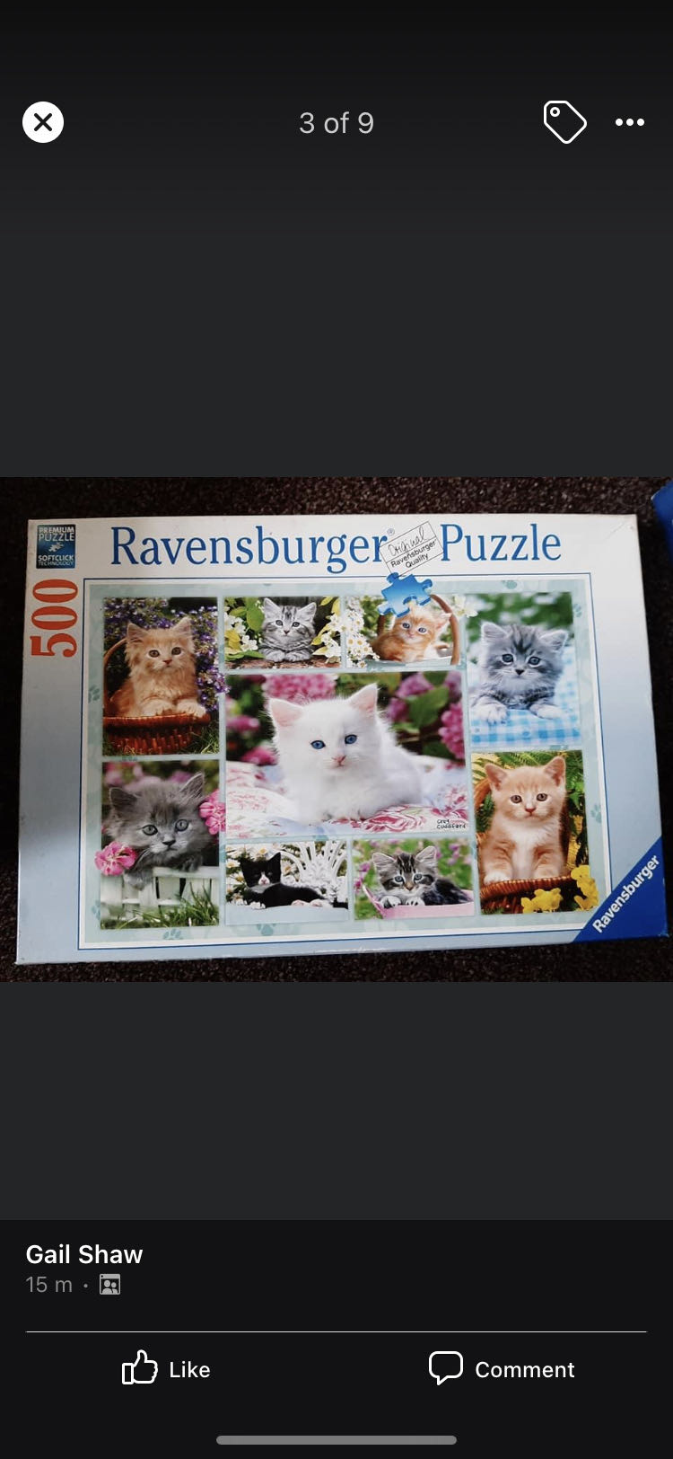 Hot Air Balloon Race