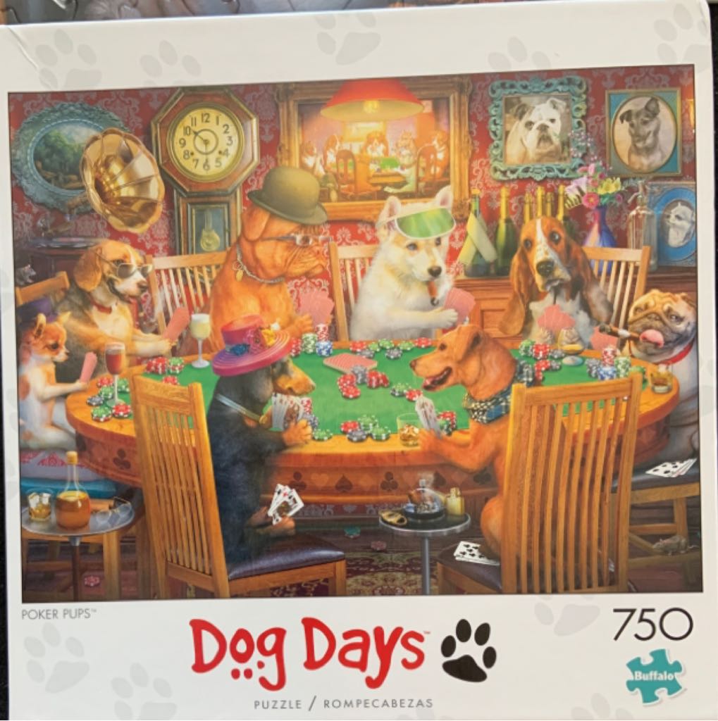 NFL Teams Riddell Helmet