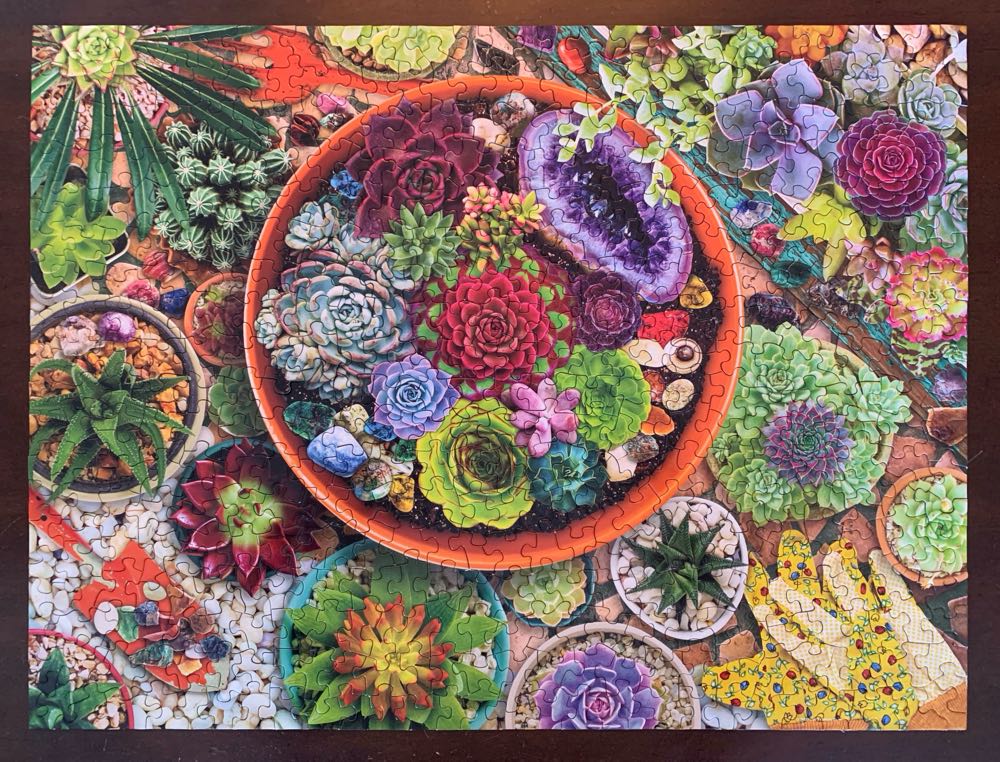 Succulent Garden*^ - Springbok puzzle collectible [Barcode 091683110834] - Main Image 3