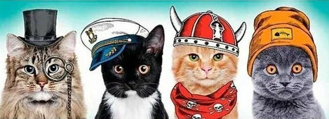 Fluffy Team - Trefl puzzle collectible [Barcode 5900511295047] - Main Image 2