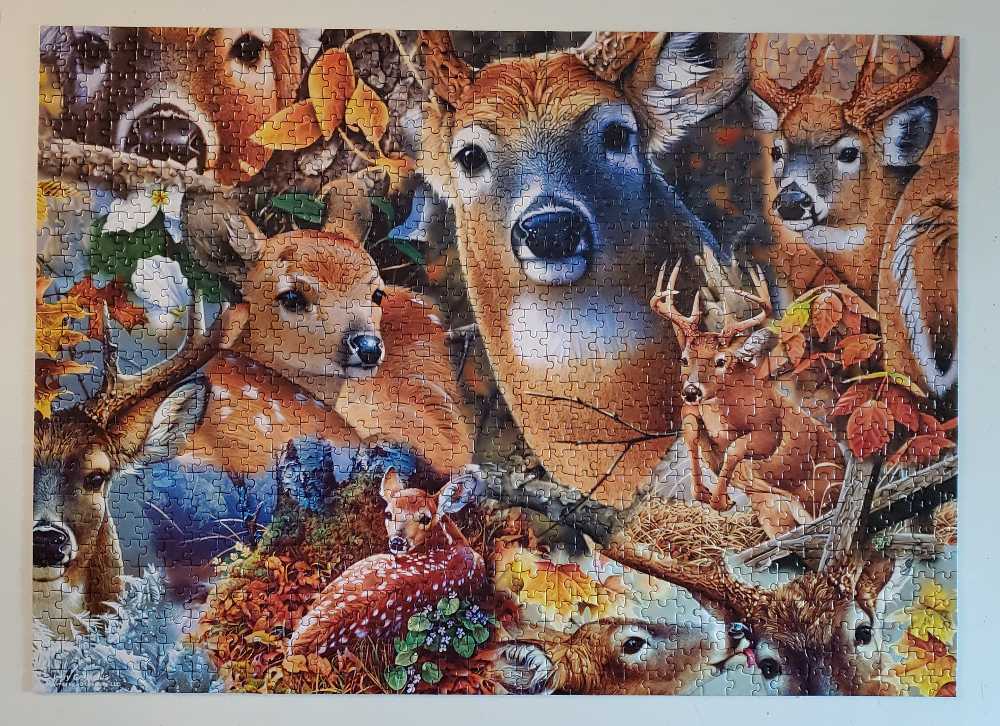 Forest Beauties - Master Pieces puzzle collectible [Barcode 705988719424] - Main Image 2