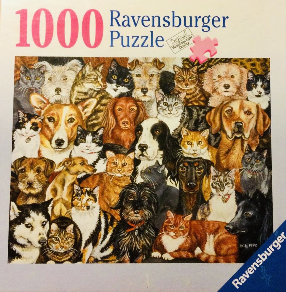 Feathered Stars - 331, 2/9/23