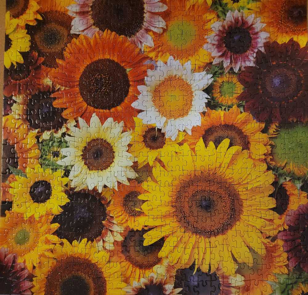 Sunflower Blooms - Galison puzzle collectible [Barcode 9780735374904] - Main Image 2