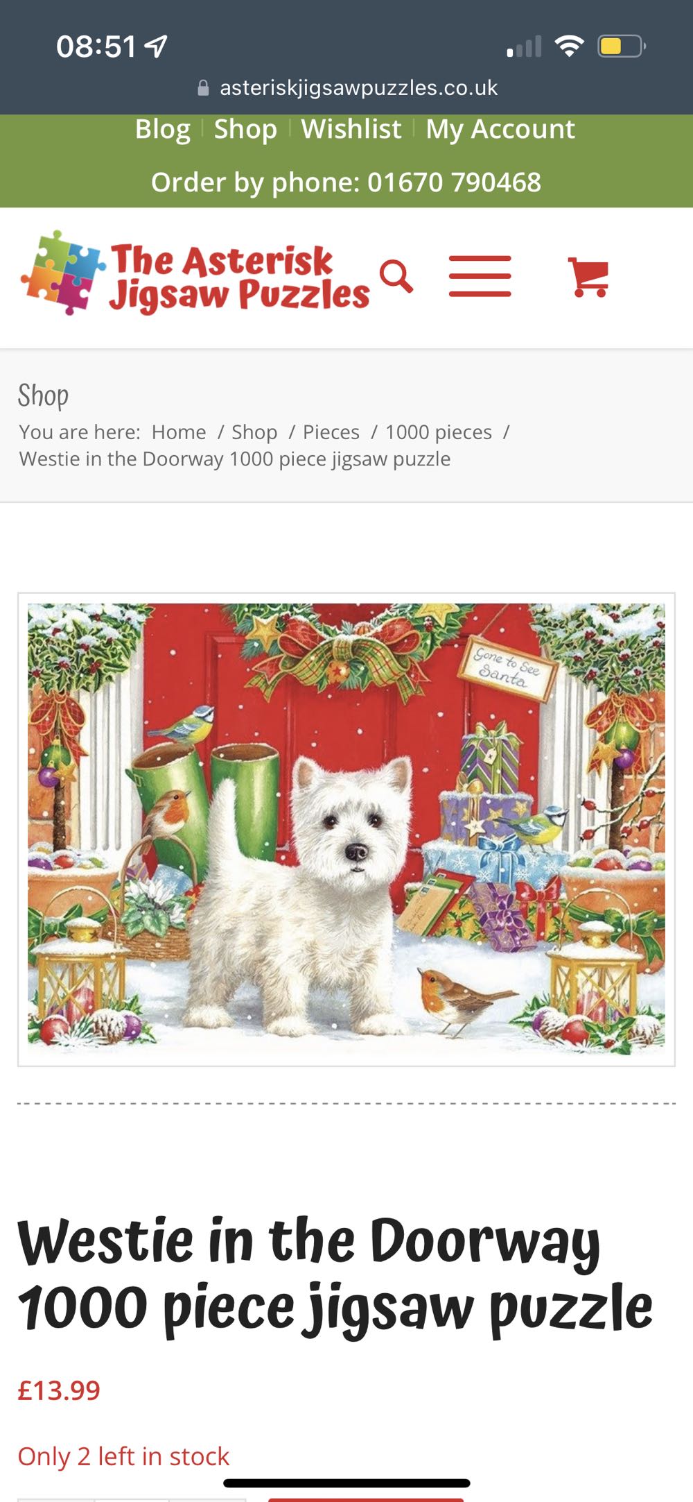 Nova: Colorful Butterfly