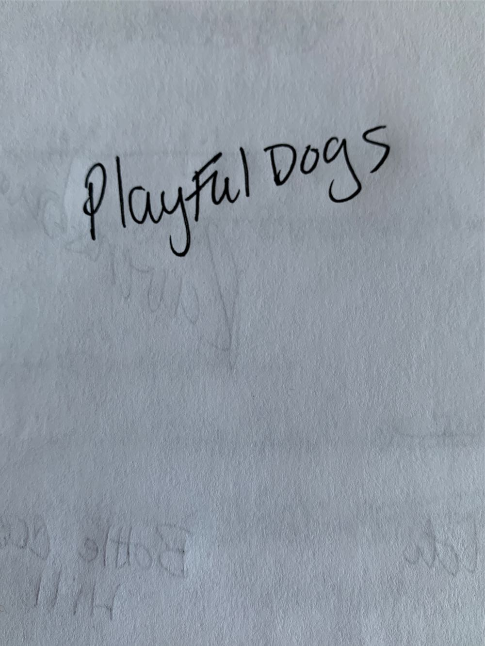 Rainbow Ribbons And Bows