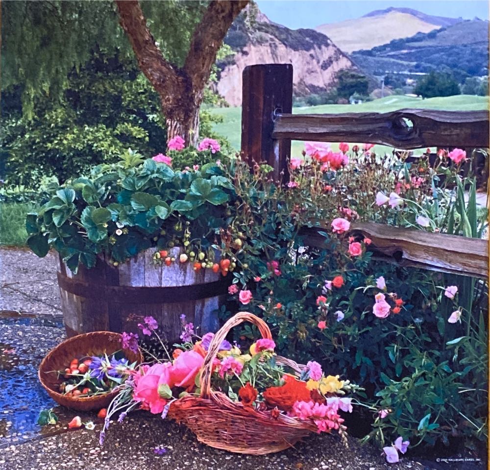 Country Garden - Springbok puzzle collectible [Barcode 015012586343] - Main Image 2