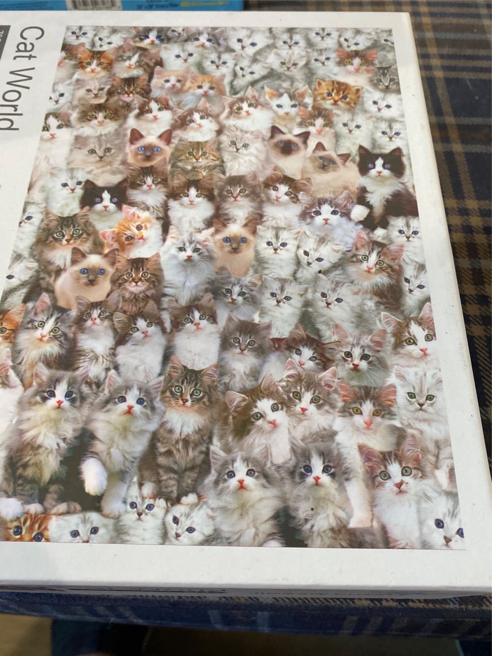 ’Tis the Season ✅ ?