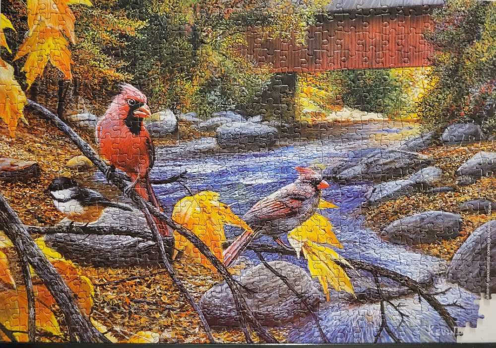 Cardinals - Looking Good puzzle collectible - Main Image 2