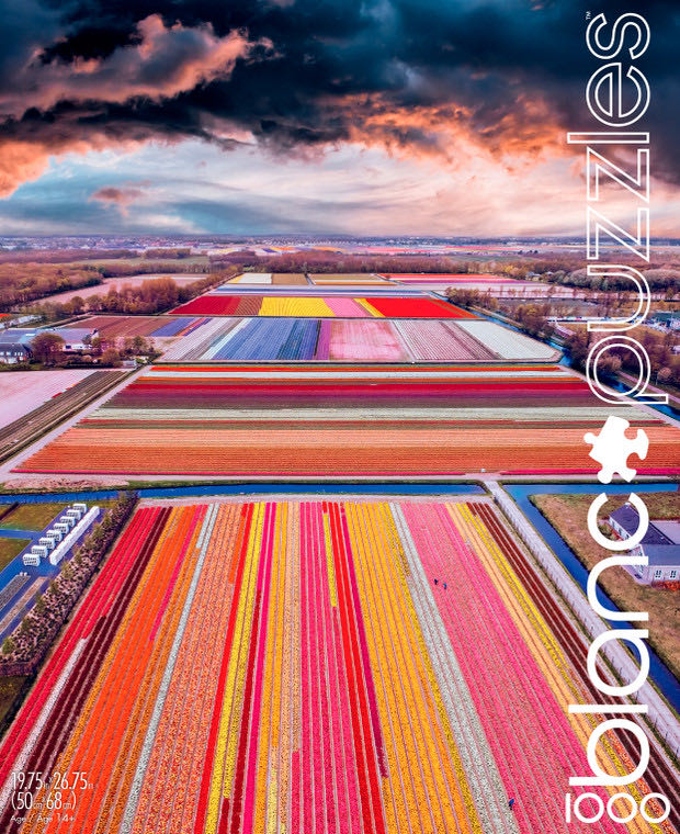 Infinity Fields of the Netherlands - Blanc By Buffalo puzzle collectible [Barcode 079346512027] - Main Image 2