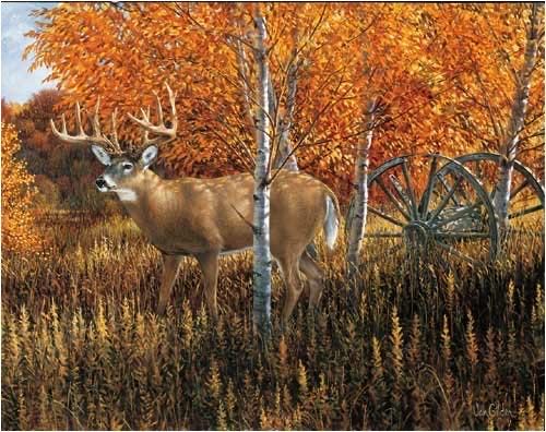 House-Mouse Tails - Doctors Visit