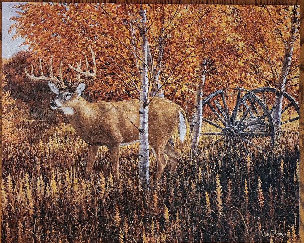 When Color Is King - White Mountain Puzzles puzzle collectible [Barcode 724819248391] - Main Image 2