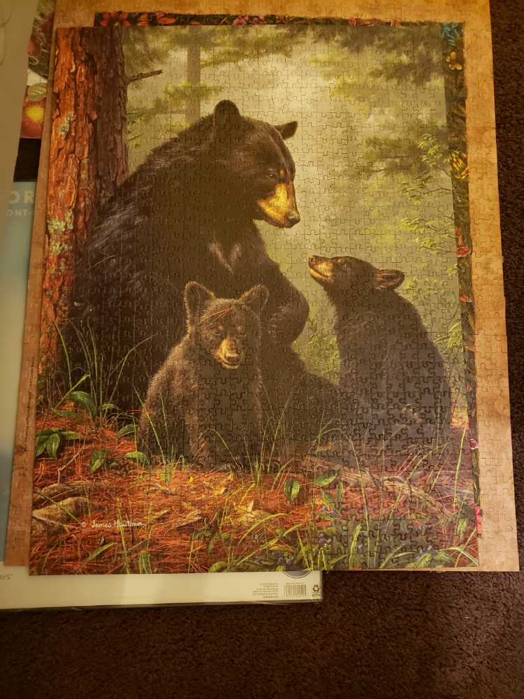 Kimmidoll - Norika SOLD