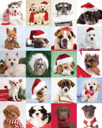 Rocky Mountains National Park Colorado