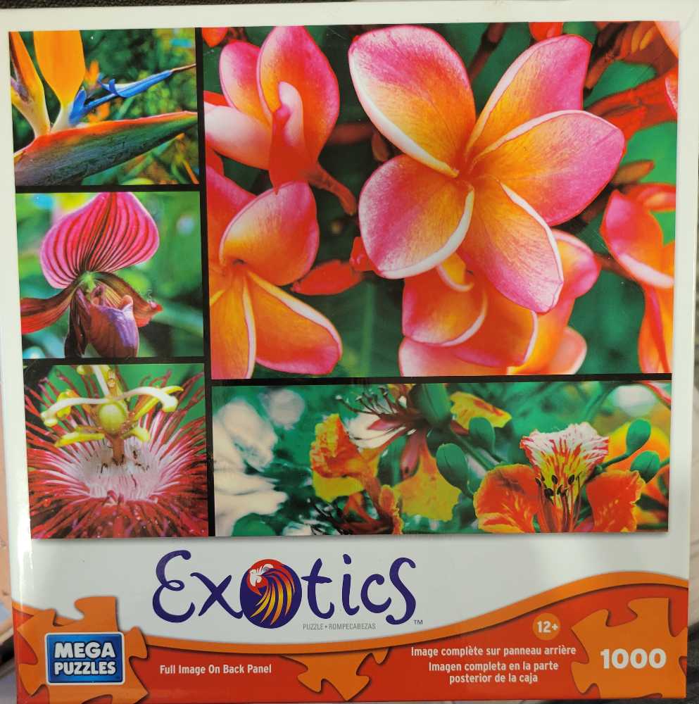 Hautman Brothers - Into The Light Eagle