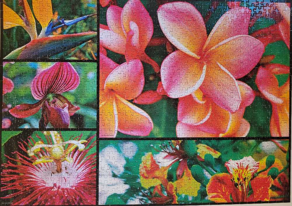 Tropical Flowers - Mega Puzzles puzzle collectible - Main Image 2