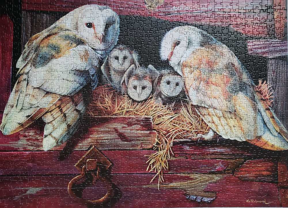 Barn Owls - Cobble Hill puzzle collectible [Barcode 625012800525] - Main Image 2