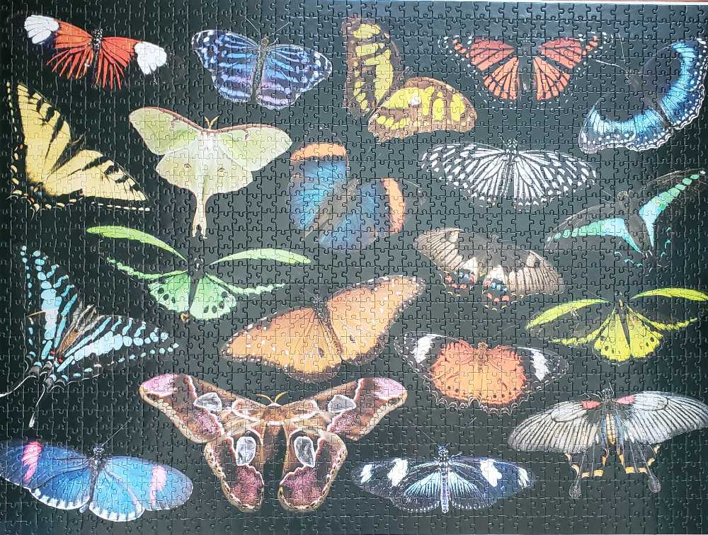 Winged Jewels  - Buffalo puzzle collectible [Barcode 079346024582] - Main Image 2