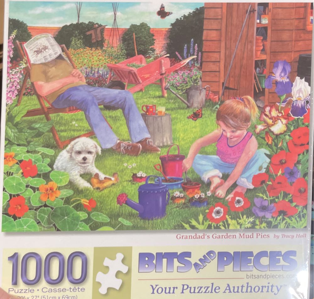 Pumpkin Sunrise Yorkie