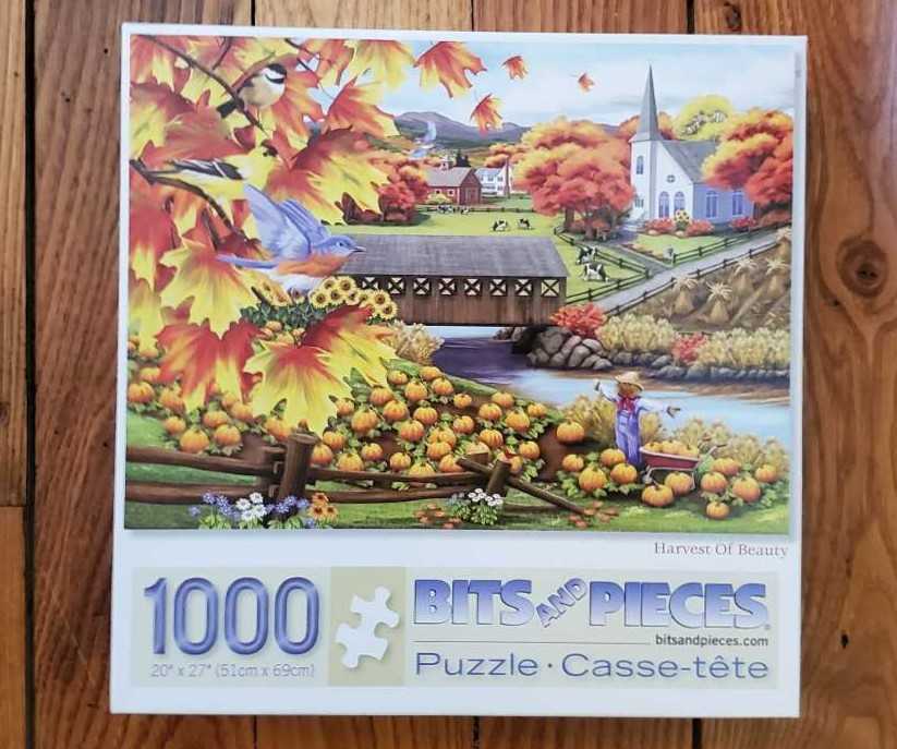 Disney Princess’s Double Sided 