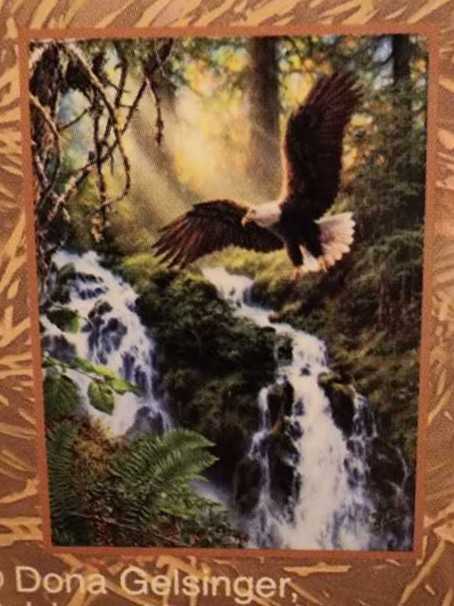 Soaring Eagle - Master Pieces puzzle collectible [Barcode 705988713576] - Main Image 1