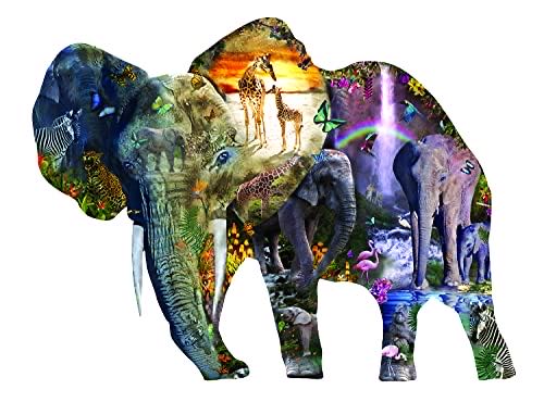 Het Verpeste Kamp Jommeke Dutch Edition