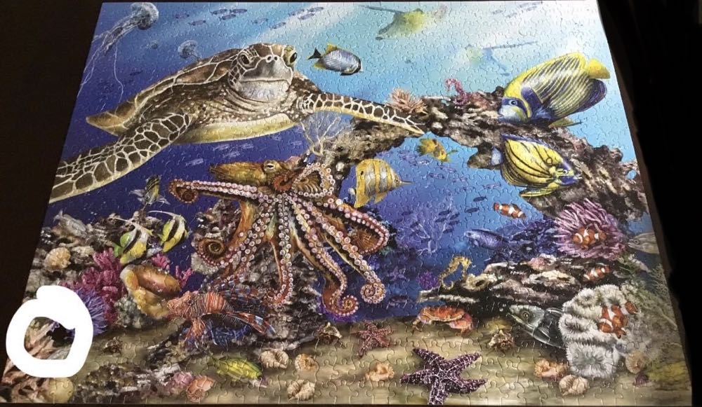 Jewels of the Sea-RKJ $$$$ - White Mountain Puzzles puzzle collectible [Barcode 724819251490] - Main Image 2