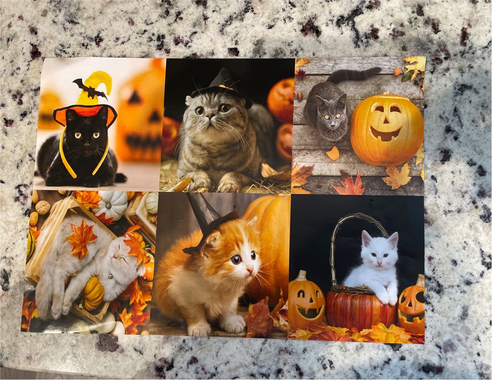 Halloween Cat Puzzle - Talking Tables puzzle collectible [Barcode 5052715136586] - Main Image 2