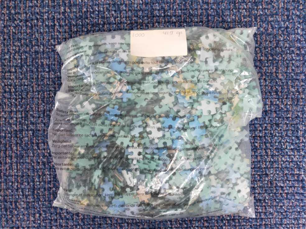 Dog Days Of Summer ✅🚫