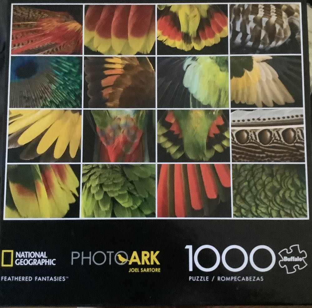 Flowers & Butterflies