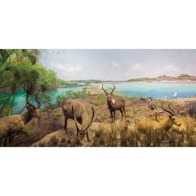 Hallstatt, Austria*%