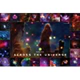 Cherry Blossoms In Bloom At Himeji Castle Japan