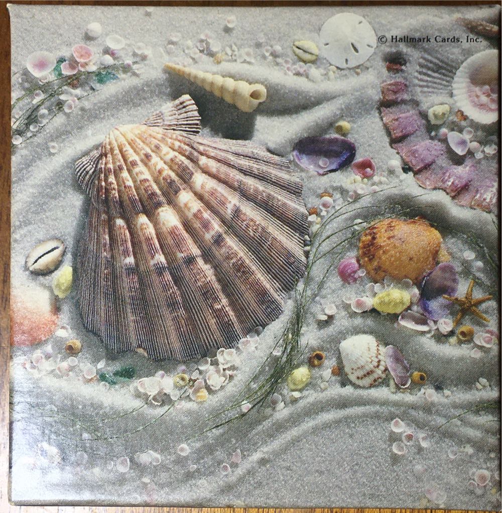 Z Nannie - Soda Pop Rainbow 💎