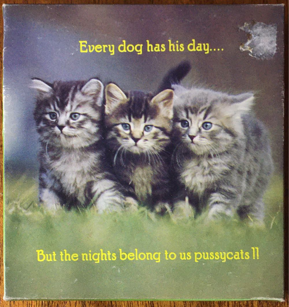 * Grand Canyon Panoramic - NIB