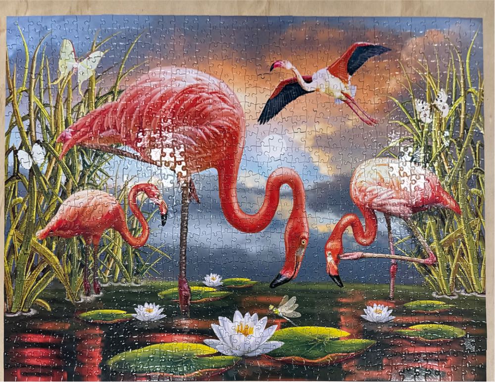 Flamingos - KI Puzzles puzzle collectible [Barcode 773392029903] - Main Image 2