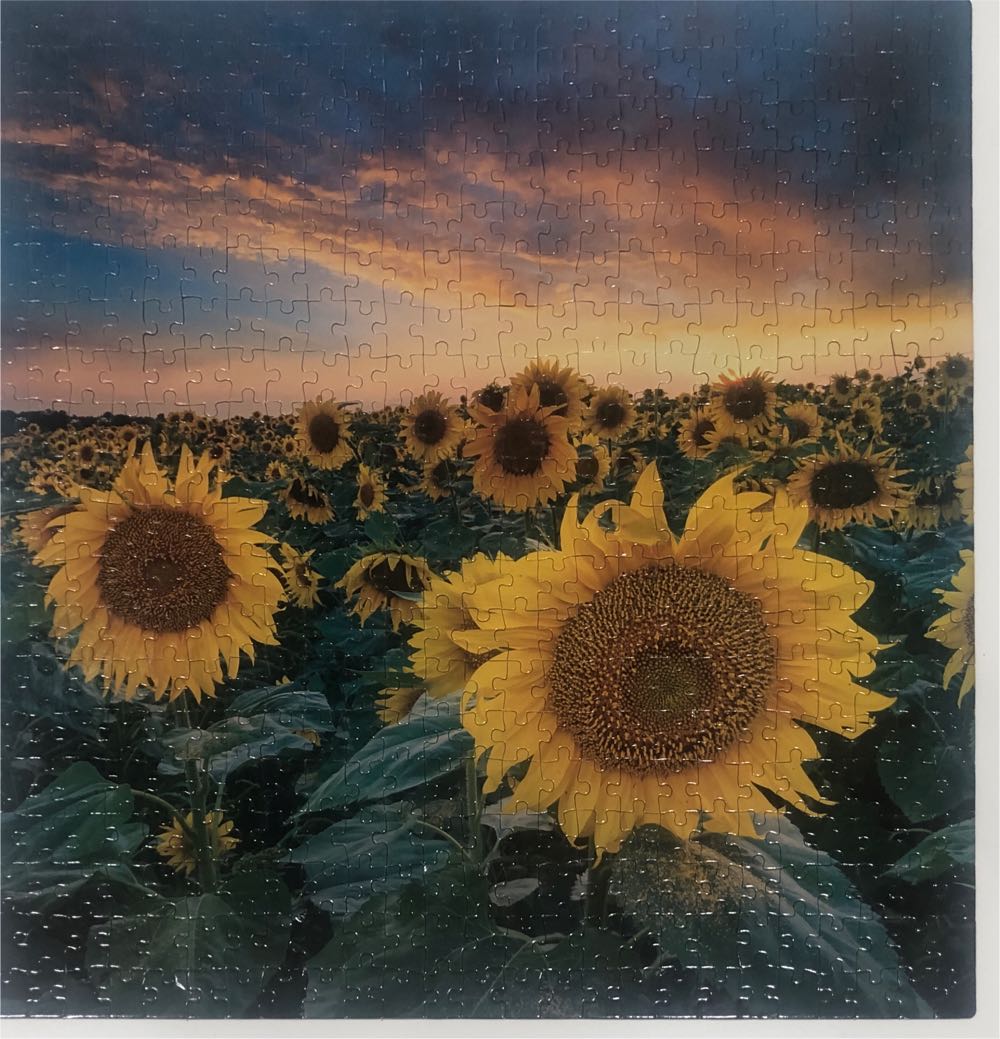 Sunflower Fields Forever - Pink Sky puzzle collectible [Barcode 191205537825] - Main Image 2