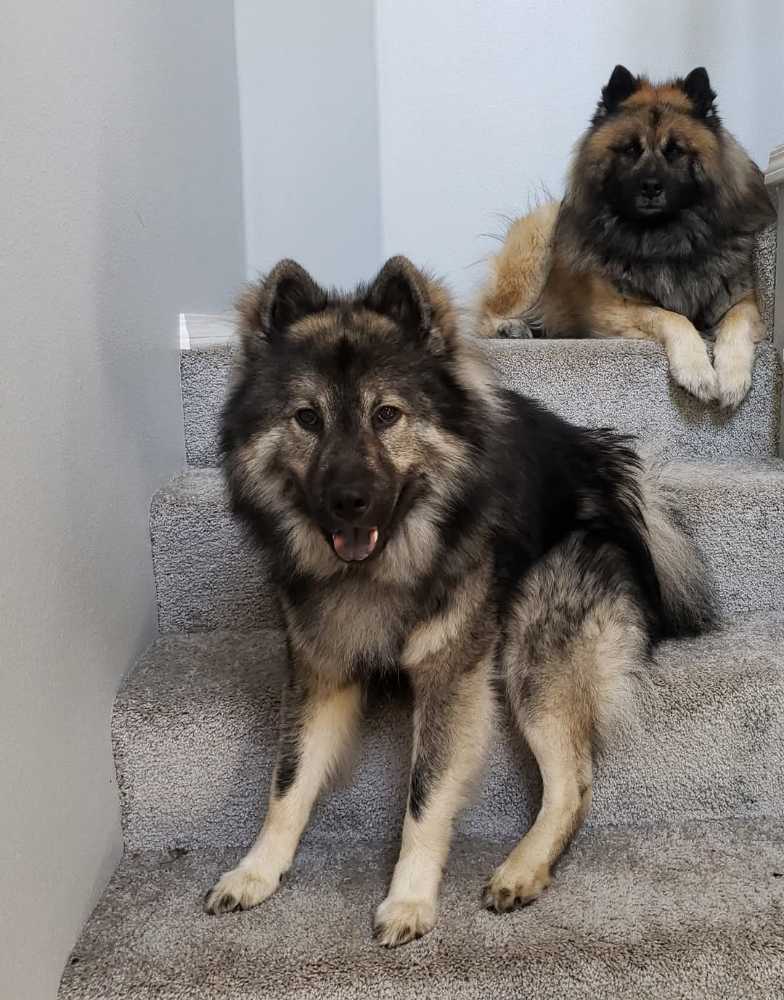 Rustic General Store - Work & Sell - White Mountain puzzle collectible [Barcode 724819266166] - Main Image 3