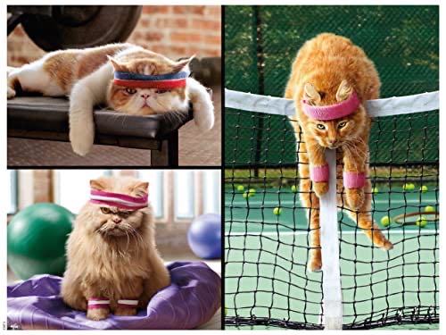 Gi Joe Mural Battle 1