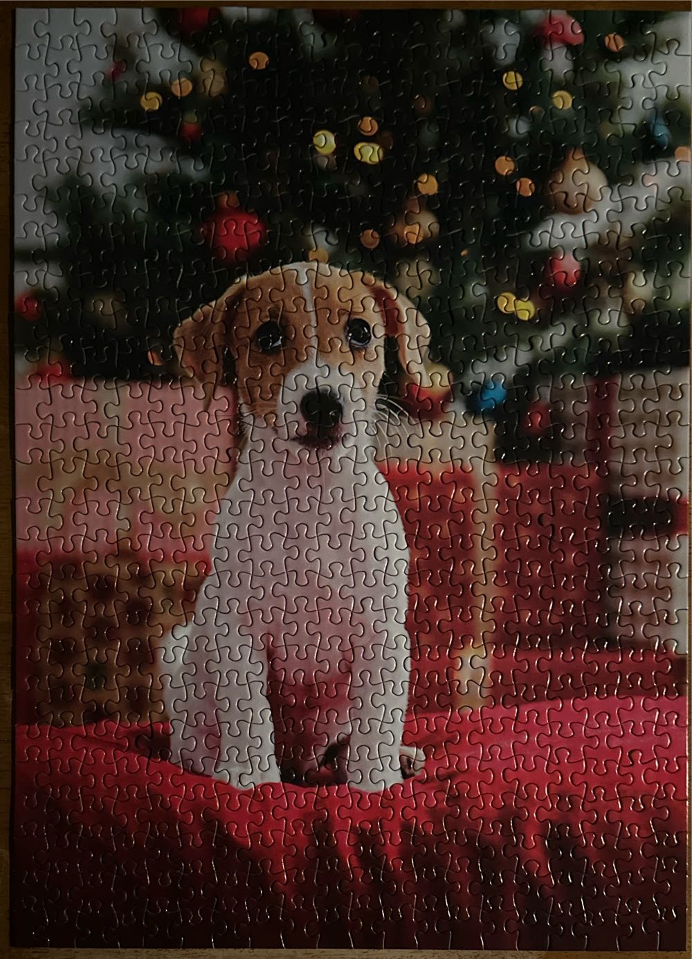 The Adorable Paw - Professor Puzzle puzzle collectible [Barcode 818192028623] - Main Image 2