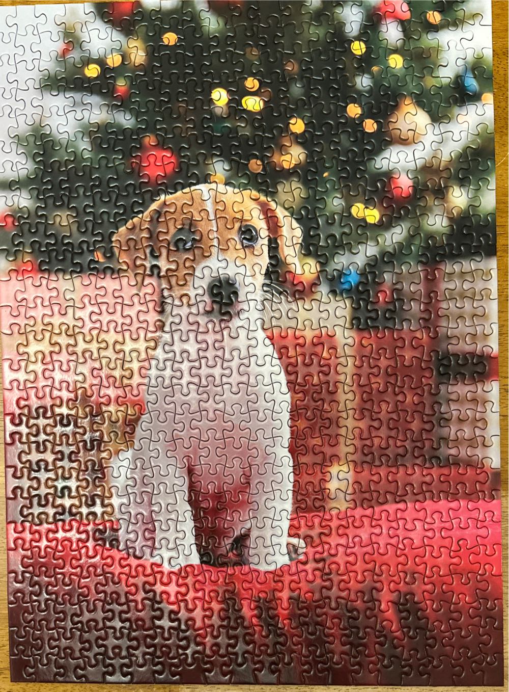 The Adorable Paw - Professor Puzzle puzzle collectible [Barcode 818192028623] - Main Image 3