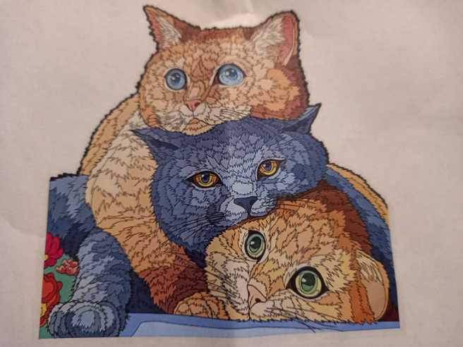 Ocean Life Life To Scale Octagon