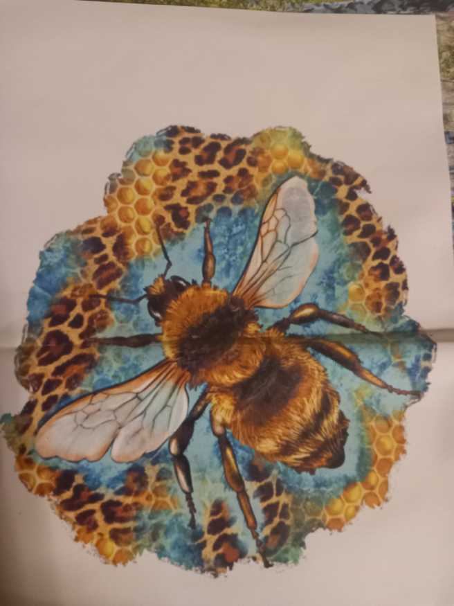 Disney Animation History