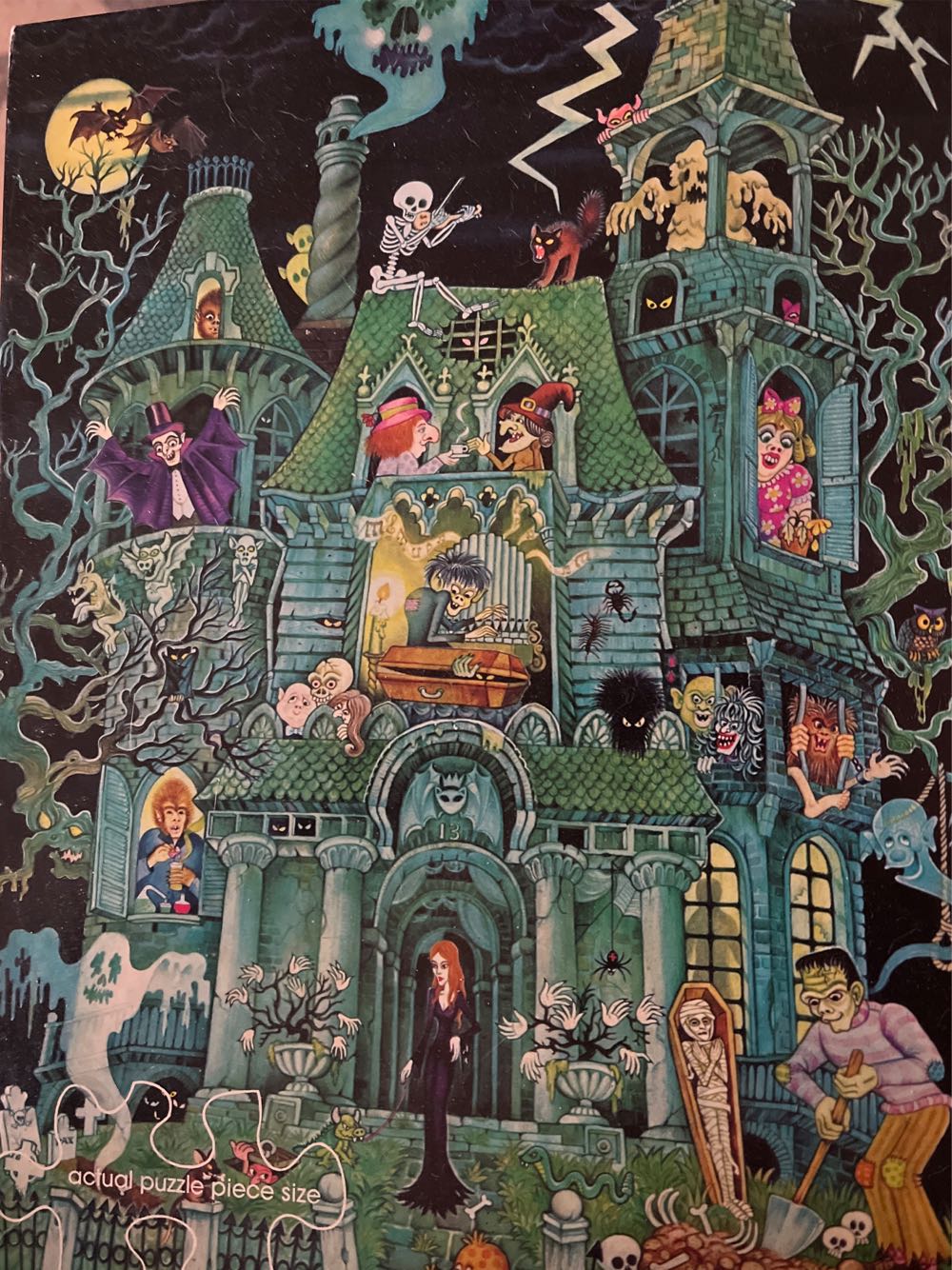 Finding Nemo Piece Impossible Puzzle