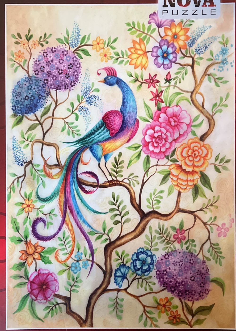 Rainbow Gradient Poligonal Swirl